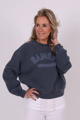 Savan sweat ombre blue