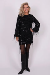 Sequin fringe midi dress